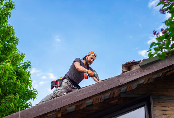 Best Roof Maintenance and Cleaning  in Pittsburgh, PA